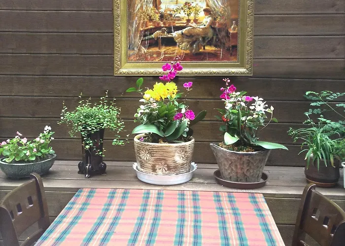 Petercat Insadong * ソウル特別市