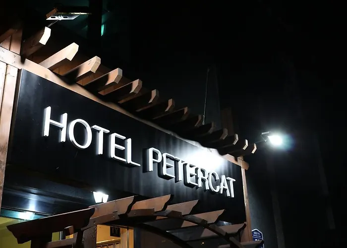 Petercat Insadong