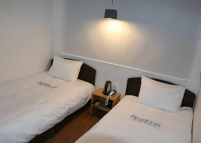 Petercat Insadong Hostal *